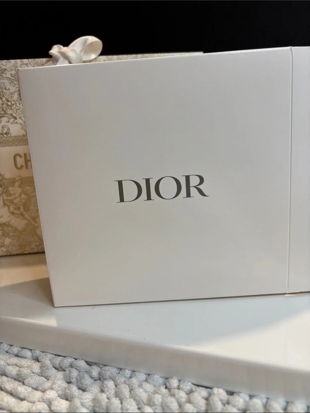 Dior Cream Round Pouch with Pink Butterfly Embroidery & Dior Bag